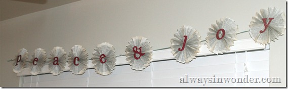 IMG_6737 IMG_6737