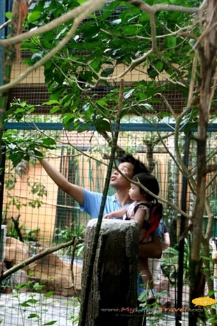 Langkawi Wildlife Park Langkawi Wildlife Park