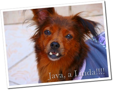 Java linda!