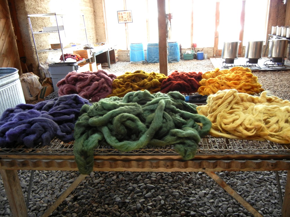 [Roving2%255B3%255D.jpg]