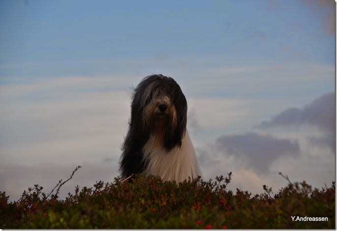 DSC_6910 DSC_6910