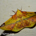 Dscn2326