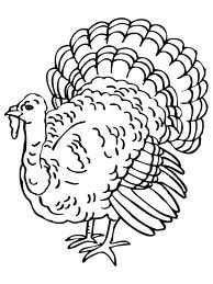 [turkey%255B4%255D.jpg]