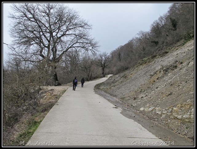 artea 003 artea 003