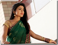 shriya hot in pavitra  shriya saran latest hot photos from pavitra telugu movie