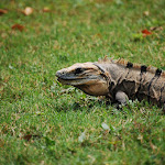 DSC_8727.JPG