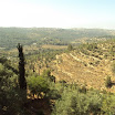 DSC00718.JPG