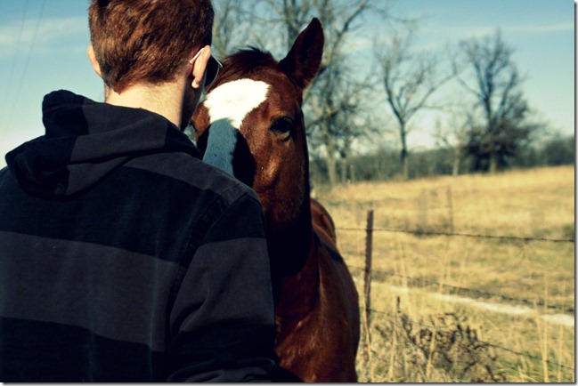 horse talk