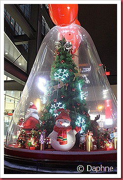 IMG_1583 IMG_1583