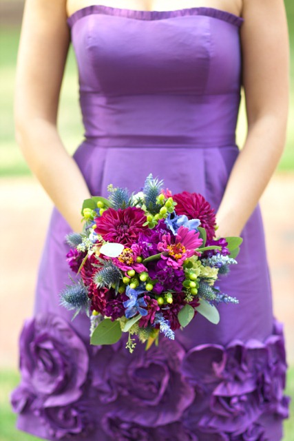 [IMG_5358-holly--chapple6.jpg]