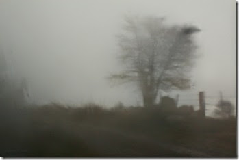 et toujours des essais de noir et blanc, mais derrière la vitre .... et toujours des essais de noir et blanc, mais derrière la vitre ....