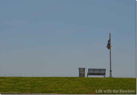 DSC_0056 DSC_0056
