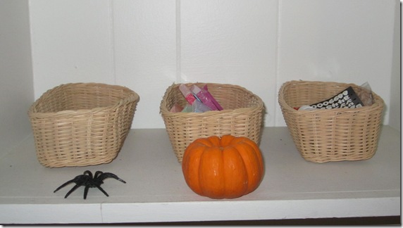 IMG_3495 IMG_3495