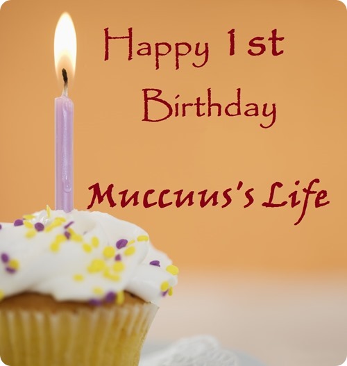 birthday-cupcake birthday-cupcake