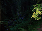 columbia_river_gorge
