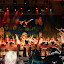 IMG_2542 (Large).JPG