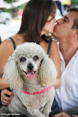 Álbum de fotos de Teresa + Roberto de Paulo Herédia Fotografia, fotos de casamento em Niterói e Rio de Janeiro, RJ. O fotógrafo Paulo Herédia faz fotos de casamento, fotos de festas, ensaios de casal (e-session), fotos de moda e fotos para editorial. Album (digital) de fotos de Teresa + Roberto de Paulo Heredia Fotografia, fotos de casamento em Niteroi e Rio de Janeiro, RJ. O fotografo Paulo Heredia faz fotos de casamento, fotos de festas, ensaios de casal (e-session), fotos de moda e fotos para editorial.