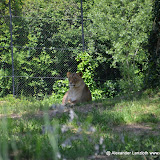 Safaripark_130527-020.JPG