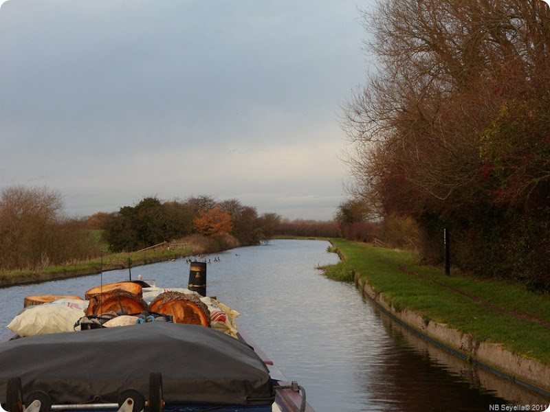 SAM_0027 Wide Shroppie