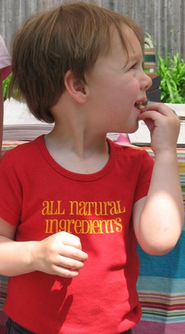 [all%2520natural%2520ingredients%2520girl%255B4%255D.jpg]