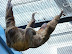 National Zoo in August