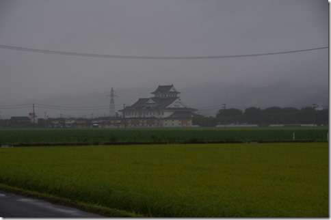IMGP8797 IMGP8797