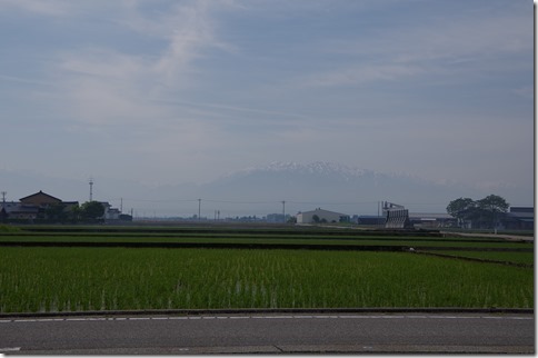 IMGP2226 IMGP2226