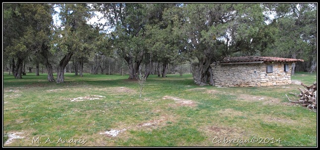 pano2 pano2