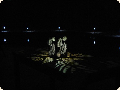 IMG_3458 IMG_3458