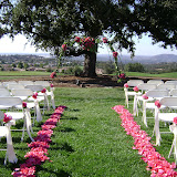 Ceremony_Floral