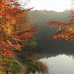 DSC_0365.jpg
