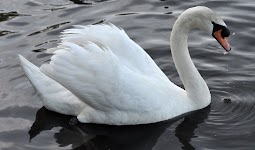 DSC_0282_new.jpg