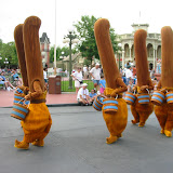 IMG_0080.JPG