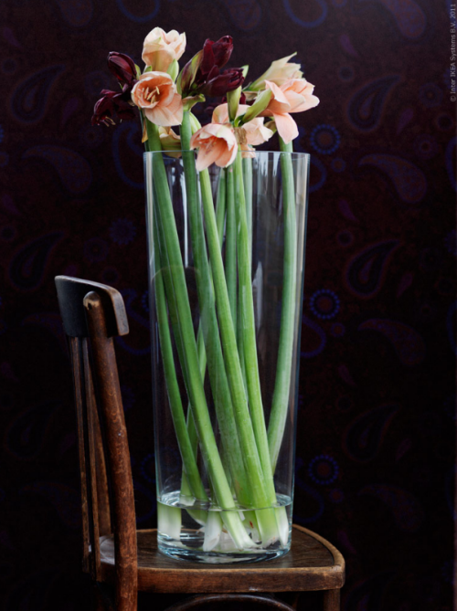 [ikea_winter_floral_arrangement%255B3%255D.png]