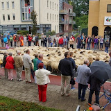 159.JPG