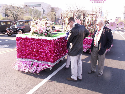 Pictures of the Cherry Blossom