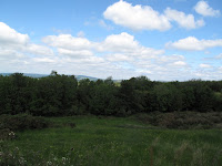 IMG_0498.JPG Photo