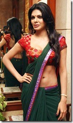 Sherlyn Chopra Hot in Saree Photos