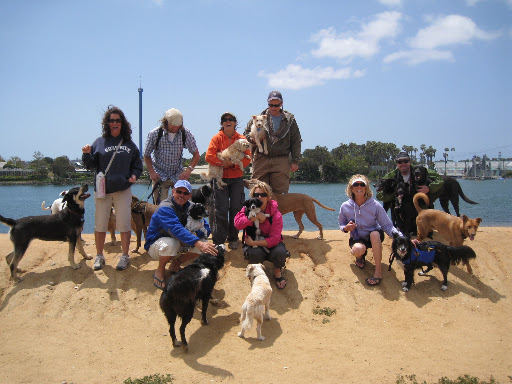 What's a day at the beach without a bunch of rescued pooches and their humans?