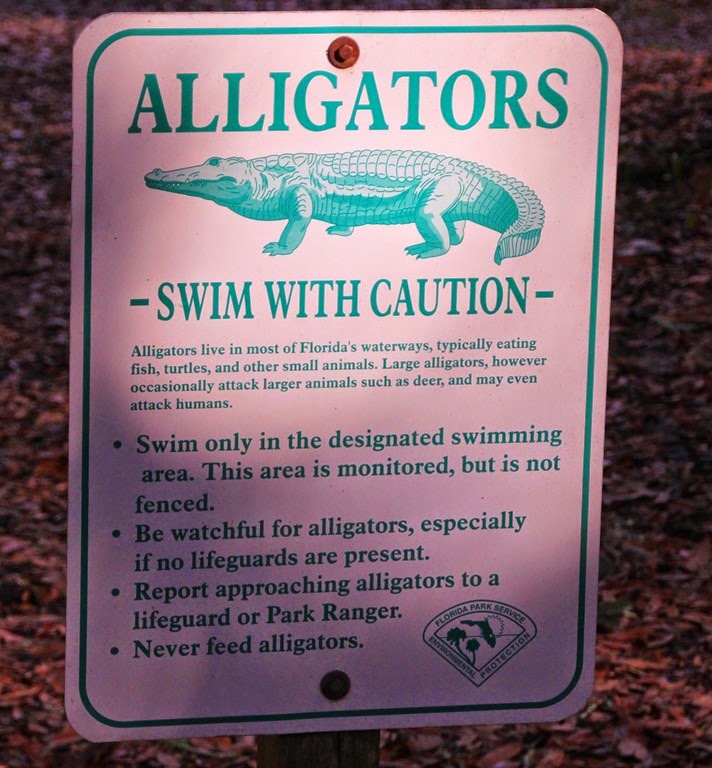 [Alligator-Sign5.jpg]