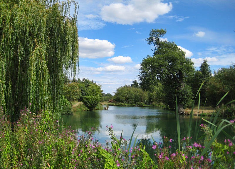 [Boldings%2520Pools%255B3%255D.jpg]