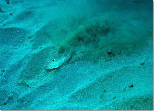 Traces of alien discoveries Underwaters