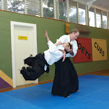 Aikido Adults