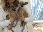 Minnow and Guppy pose for a family photo.