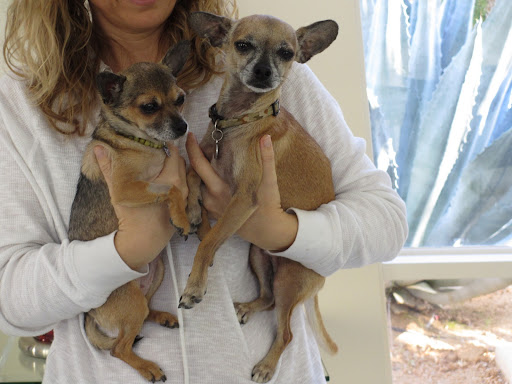 Minnow and Guppy pose for a family photo.