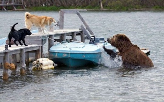 [viral-picdump-pics-10d56d%255B2%255D.jpg]