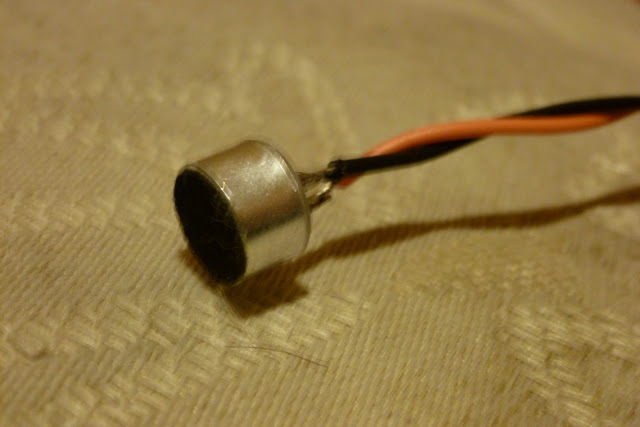 P1000078.JPG
