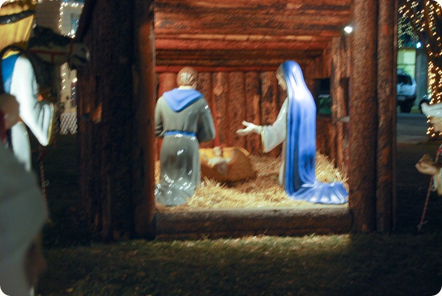 20111206-Christmas Village (51)