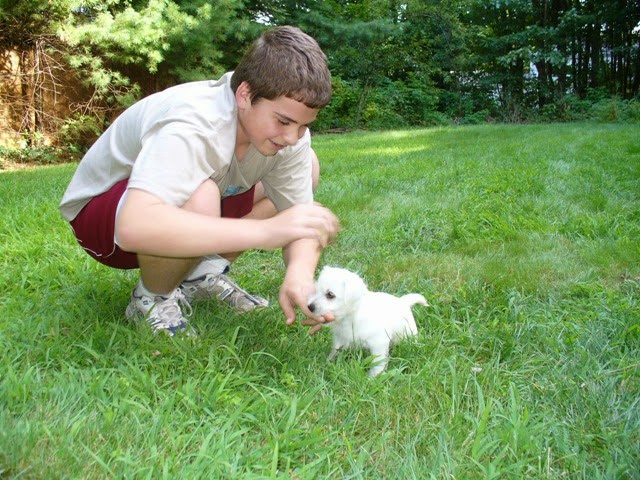 [2006%2520704%2520Phoebe%252003%255B2%255D.jpg]