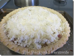 strawberry rhubarb crumb pie - The Backyard Farmwife